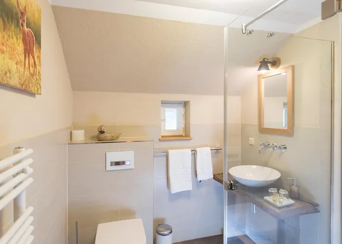 Harzer Wiesenbaude * 布劳恩拉格